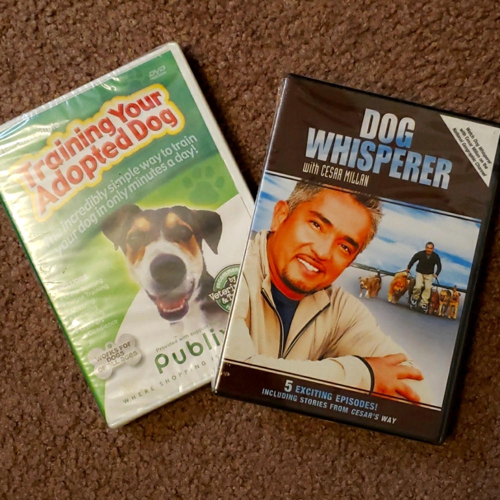 Dog training DVDs